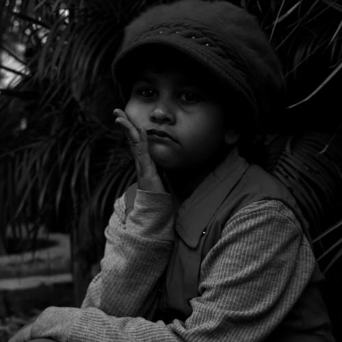 Photo #5361868