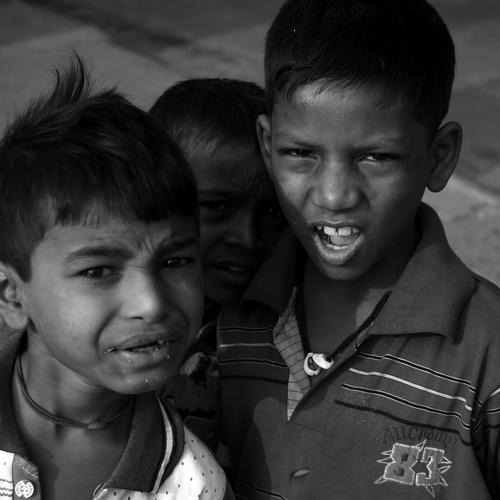 Photo #5361909