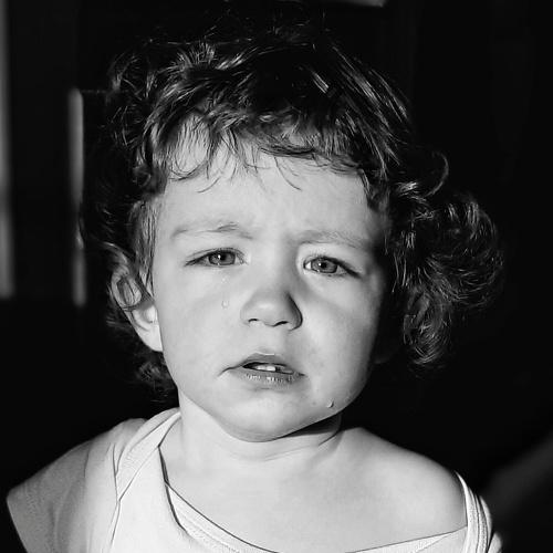 Photo #5362341