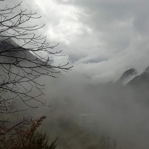 Photo #5362392