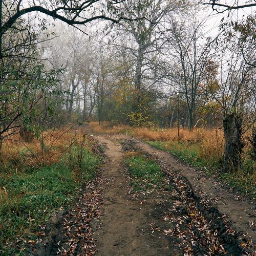Photo #5362561