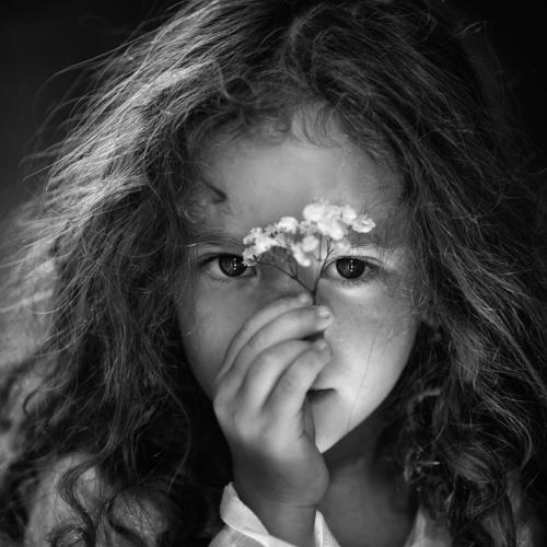 Photo #5362825