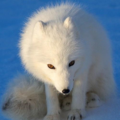 Photo #5363092
