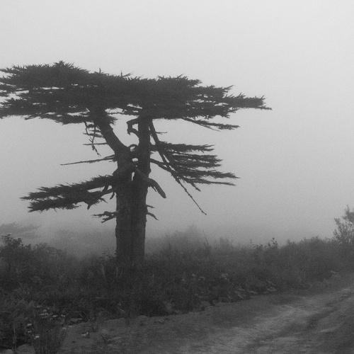 Photo #5363119