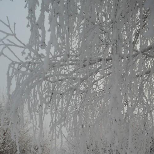 Photo #5363626