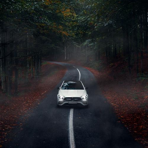 Photo #5364078