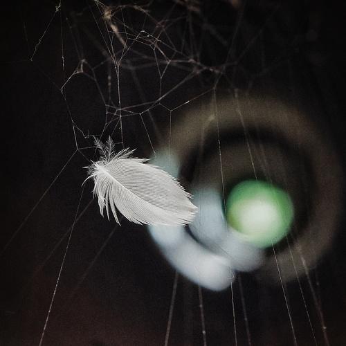 Photo #5364154