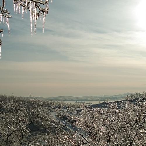 Photo #5364345