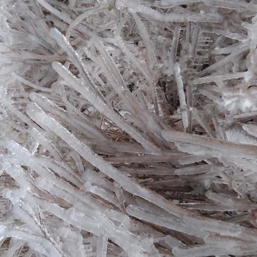 Photo #5364346