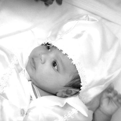Photo #5364415