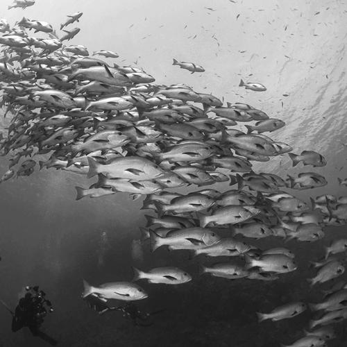 Фотография #5364452