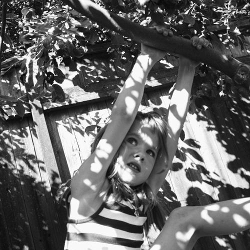 Photo #5365214