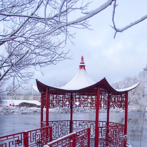 Photo #5365362