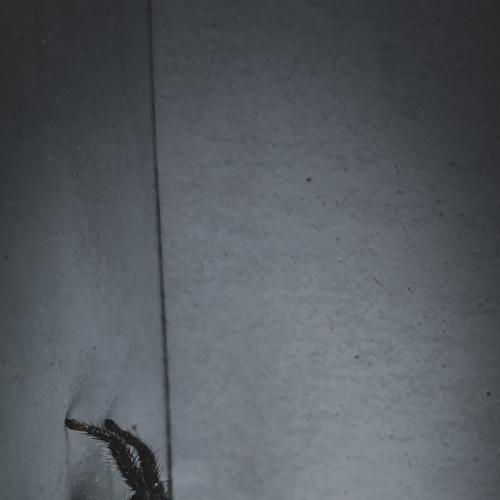 Photo #5365444
