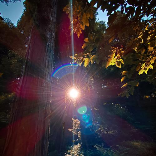Photo #5365947