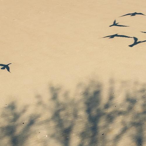 Photo #5366246