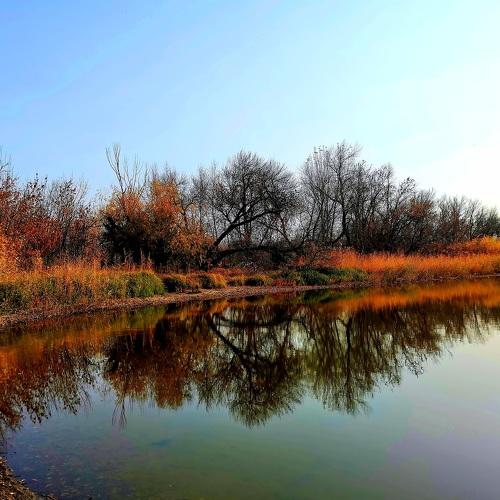 Рыжая Осень