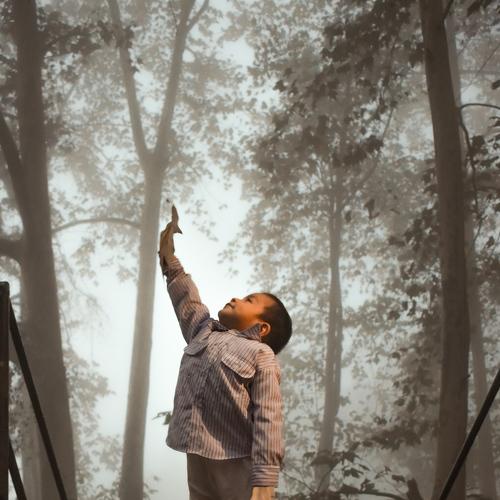 Freedom in nature