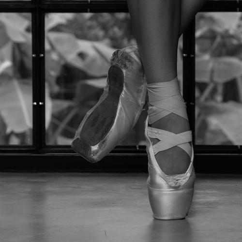 Photo #5367084