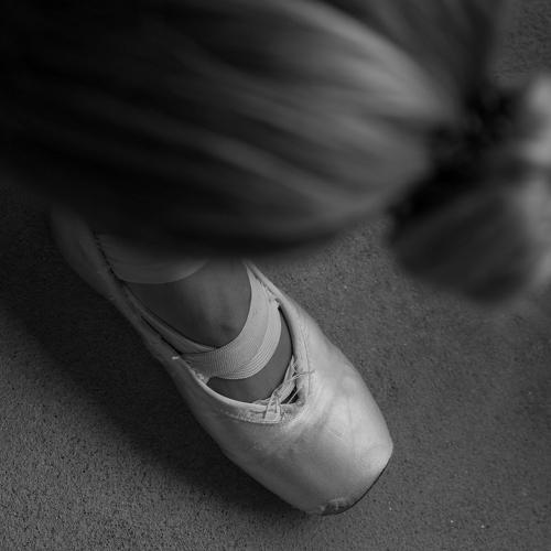 Photo #5367086