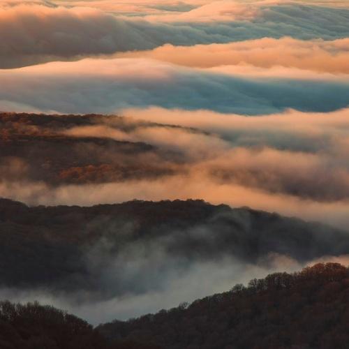 Photo #5367515