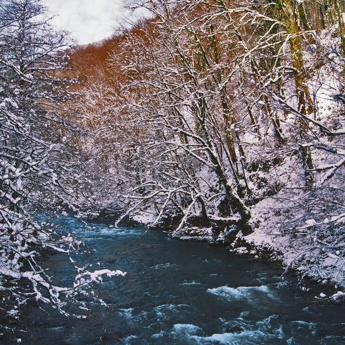 Photo #5367706