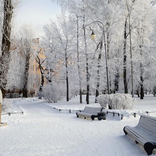 Photo #5367733