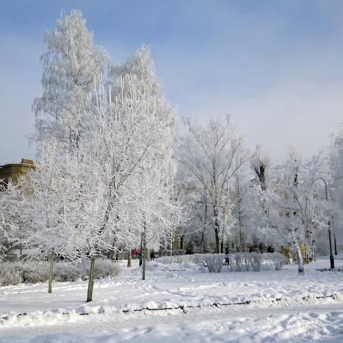 Photo #5367740