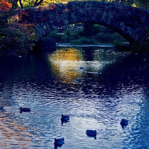 Photo #5367980