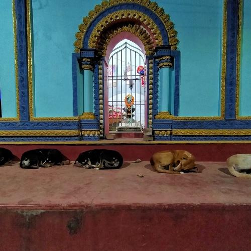 Photo #5368037
