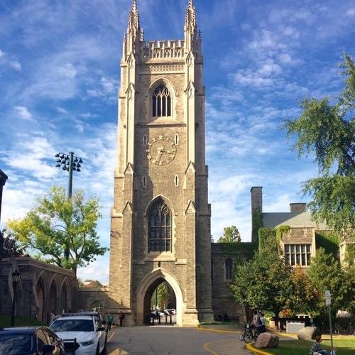 Photo #5368244