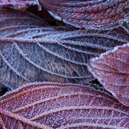 Photo #5368268