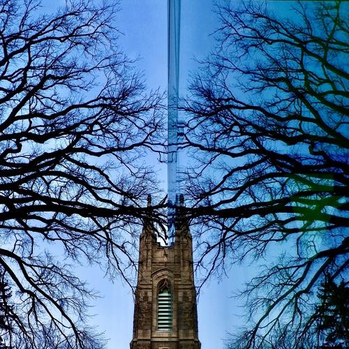 Photo #5368417
