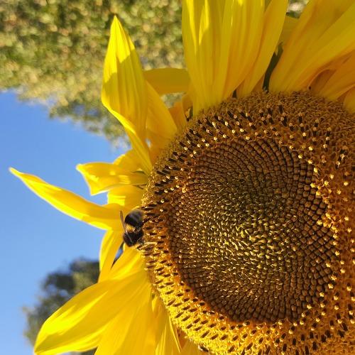 Photo #5368769
