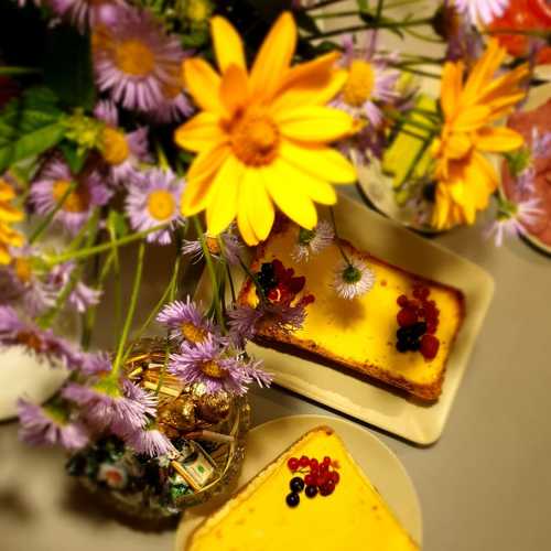 Photo #5368933