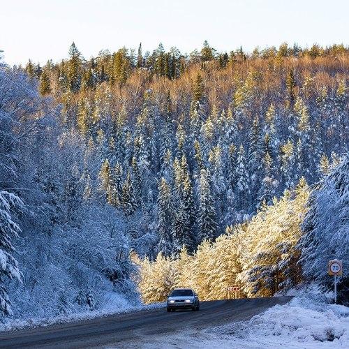 Photo #5368969
