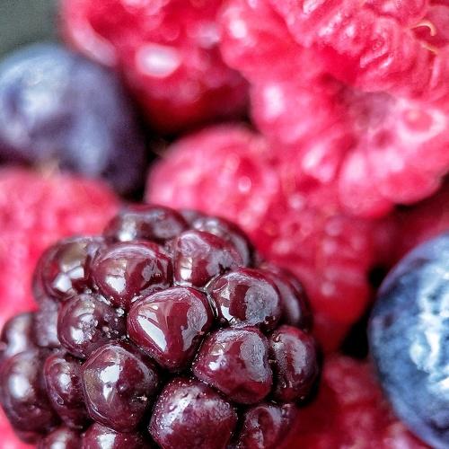 Photo #5369060