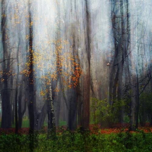 Photo #5369113