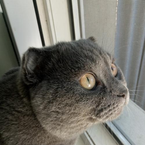 Photo #5369265