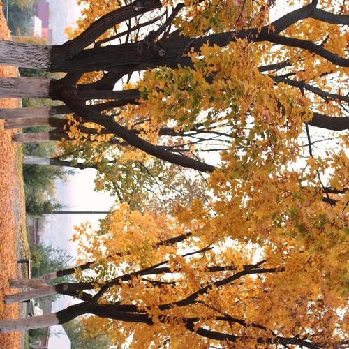 Photo #5369269