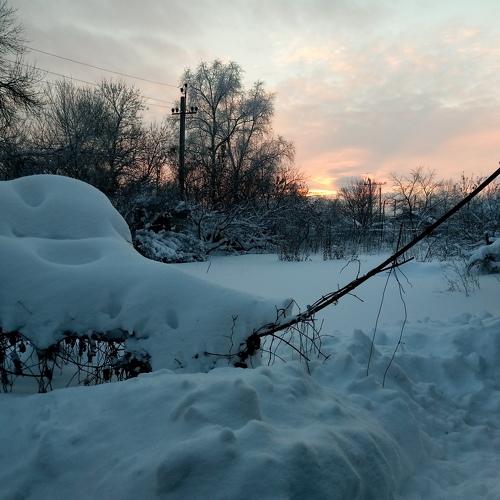 Photo #5369274