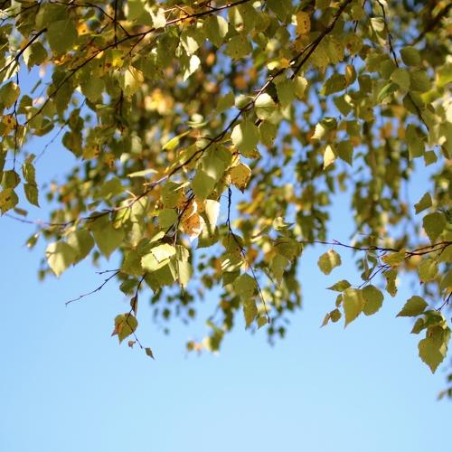 Photo #5369276
