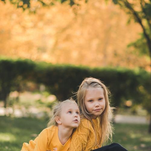 Photo #5369557