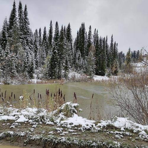 Photo #5370070