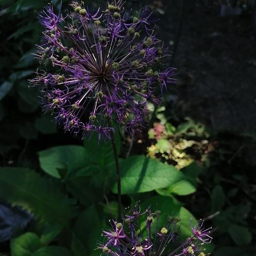 Photo #5370078