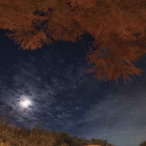 Photo #5370272
