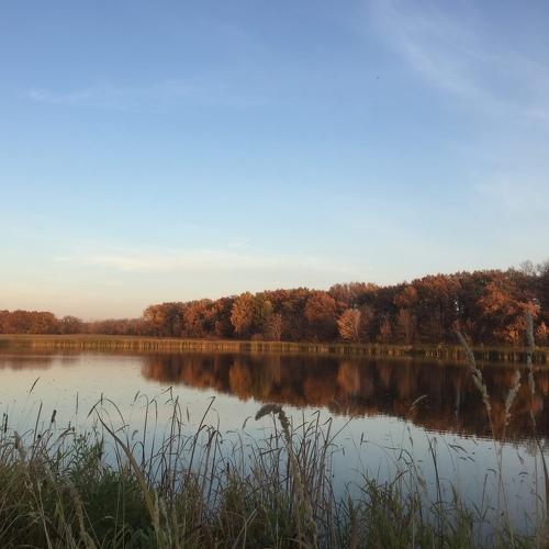 Photo #5370789