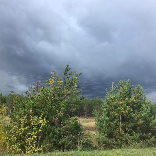 Photo #5370791