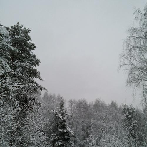 Photo #5371906