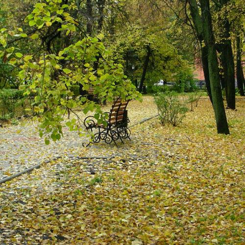 В осеннем парке...
